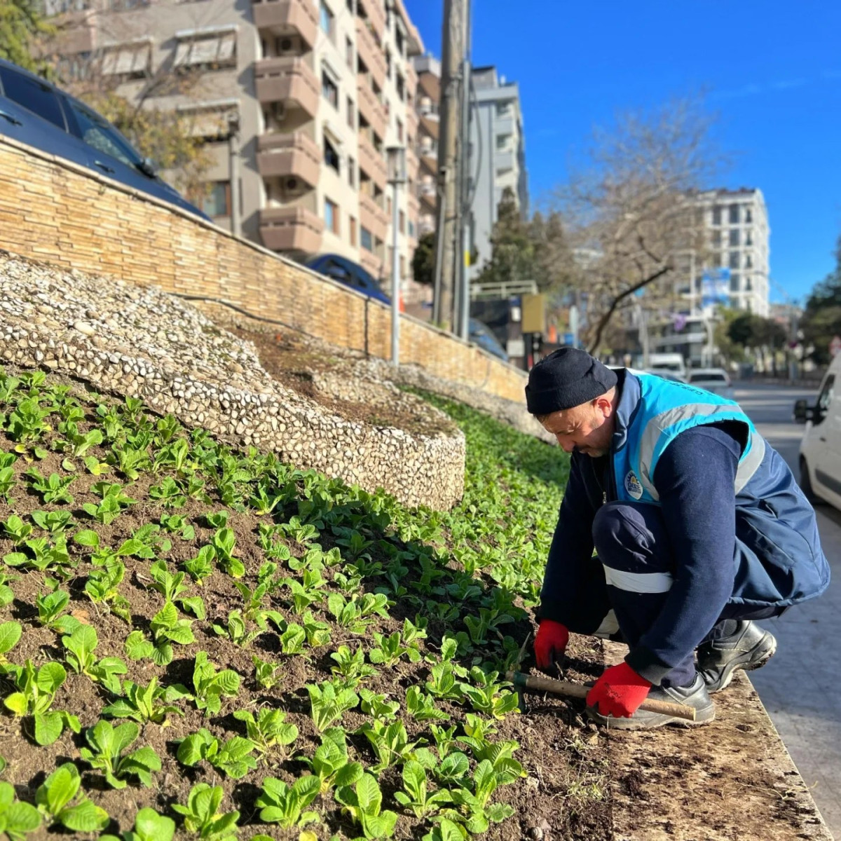 Gebze çiçeklerle donatılıyor